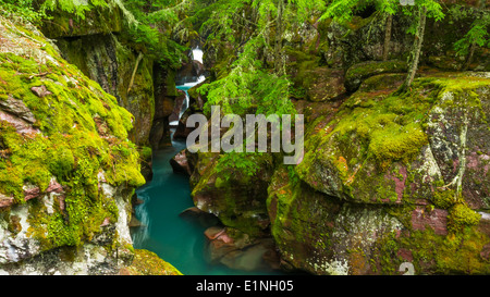 Avalanche Creek, il Glacier National Park Montana USA Foto Stock