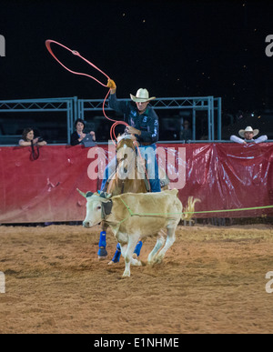 Il cowboy che partecipano in un vitello di roping concorso alla contea di Clark Rodeo in Logandale Nevada Foto Stock