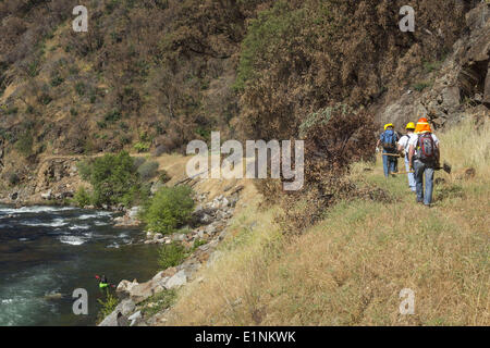 Groveland, California, Stati Uniti d'America. Il 7 giugno, 2014. Sabato, 7 giugno 2014.un gruppo di volontari guidati da Stanislao Foresta Nazionale di specialista di ricreazione, polveroso VAUGHN, escursione lungo Cherry Creek sul Andresen Mine Trail vicino a Groveland, California, su sentieri nazionali giorno. Il gruppo sta lavorando per le sezioni di riparazione del sentiero danneggiata a causa del 2013 Rim Fire. Cherry Creek è un affluente della Wild & Scenic Tuolumne fiume. © Tracy Barbutes/ZUMA filo/ZUMAPRESS.com/Alamy Live News Foto Stock