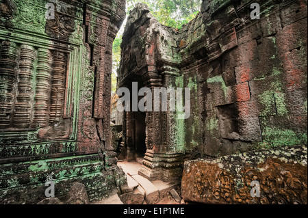 Antica architettura Khmer Ta Prohm tempio gigantesco banyan tree a Angkor Wat complesso Siem Reap Cambogia due immagini panorama Foto Stock