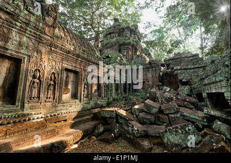 Antica architettura Khmer Ta Prohm tempio gigantesco banyan tree a Angkor Wat complesso Siem Reap Cambogia due immagini panorama Foto Stock
