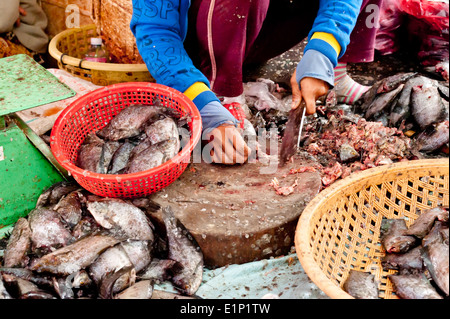 La vendita del pesce a tradizionali asiatici seafood marketplace in Siem Reap, Cambogia Foto Stock