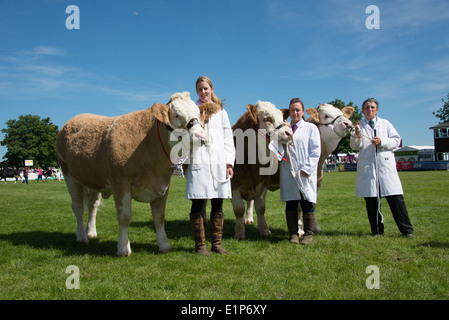 Parata di campioni a sud dell'Inghilterra Show 2014 Foto Stock