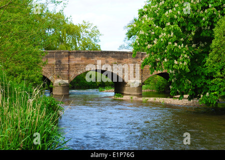 Ponte sul Fiume Otter a Otterton, a nord di Budleigh Salterton, Devon, Inghilterra, Regno Unito Foto Stock