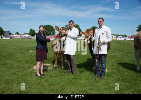 Parata di campioni a sud dell'Inghilterra Show 2014 Foto Stock