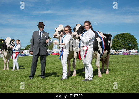 Parata di campioni a sud dell'Inghilterra Show 2014 Foto Stock