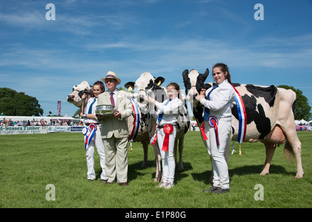 Parata di campioni a sud dell'Inghilterra Show 2014 Foto Stock