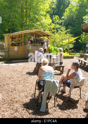 Tea Garden in motivi di Midge Hall, un piccolo cottage in cima alla caduta di Foss cascata nella foresta Sneaton vicino a Whitby Foto Stock