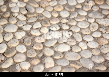 Sfondo di arenaria è disposto sul pavimento. Foto Stock