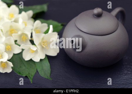 Il tè verde nella teiera con fiori di gelsomino sul bagnato sullo sfondo di grafite Foto Stock