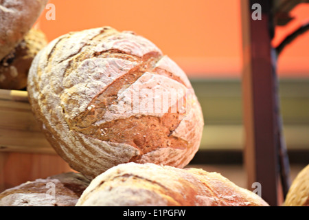 Pasta di pane cotto al forno con semi di papavero per alimenti sfondo. Foto Stock