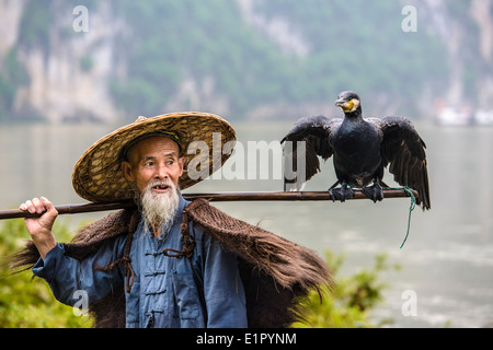 Cormorano pescatore e il suo uccello sul fiume Li in Yangshuo, Guangxi, Cina. Foto Stock