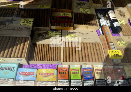 L'Avana Cuba sigari in vendita in un negozio di tabacco finestra in Amsterdam Olanda Foto Stock