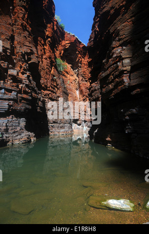 Rosso strette pareti di roccia di Joffre Gorge, Karijini National Park, Hamersley Range, Pilbara, Australia occidentale Foto Stock