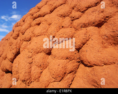 Dettaglio delle texture di termite mound, regione Pilbara, Australia occidentale Foto Stock