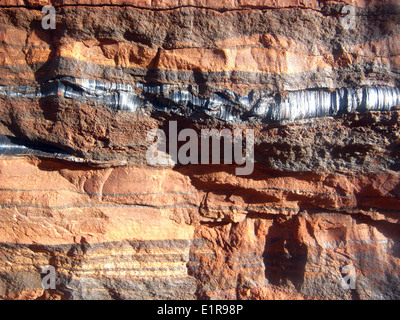 Vena di amianto blu in nastrare ironstone rocce, Karijini National Park, Hamersley Range, Pilbara, Australia occidentale Foto Stock