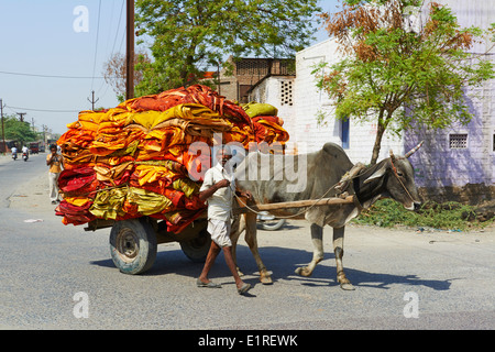 India Rajasthan, sari fabbrica di indumento Foto Stock