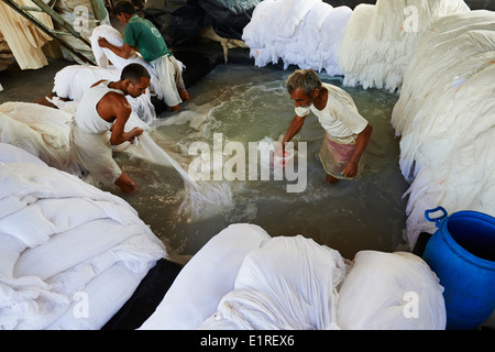India Rajasthan, sari fabbrica di indumento Foto Stock