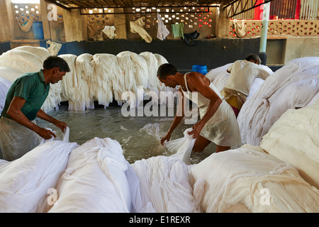 India Rajasthan, sari fabbrica di indumento Foto Stock