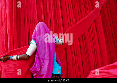 India Rajasthan, sari fabbrica di indumento Foto Stock