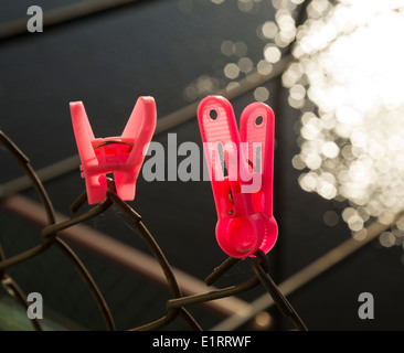 Due abiti rosa pioli o di clip Foto Stock