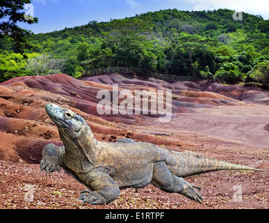 Grande monitor lizard in multi colore sabbia Foto Stock