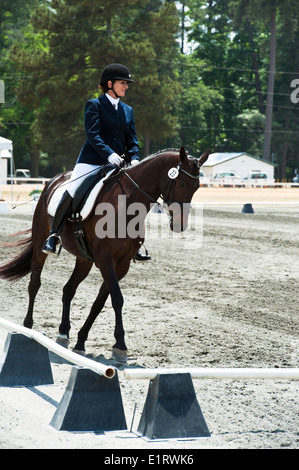 Jodi fecce di equitazione #23 'Jurnee' a Dressage nel Sandhills, Pinehurst, NC Foto Stock
