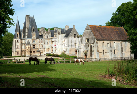 Chateau de Fontaine Henry, Normandia, Francia Foto Stock