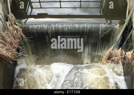 Livelli di Somerset saracinesca il controllo di flusso di acqua dal fiume Sowy a parete di birra vicino Othery Somerset Giugno 2014 Foto Stock