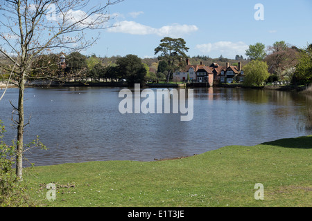 Beaulieu - è un piccolo villaggio situato a sud-est di bordo del New Forest National Park in Hampshire, Inghilterra Foto Stock