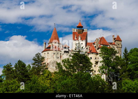 Medievale Castello di Bran, custodito in passato il confine tra Valacchia e Transilvania. La Romania. Conosciuto per il mito di Dracula. Foto Stock