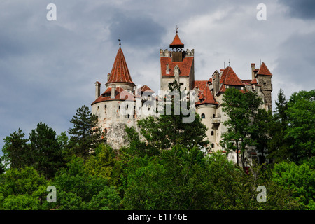 Medievale Castello di Bran, custodito in passato il confine tra Valacchia e Transilvania. La Romania. Conosciuto per il mito di Dracula. Foto Stock