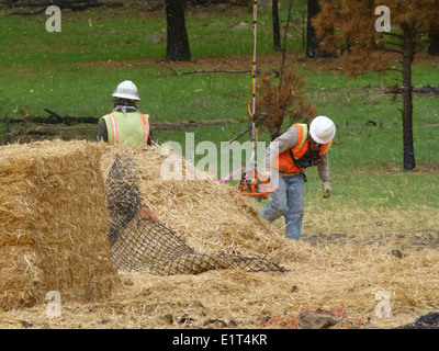 Un'indagine sui monti Kilbuck nel maggio 2013 ha catturato la presenza del KSowl nel Rifugio naturale nazionale del Delta dello Yukon, fornendo informazioni sulle popolazioni di rapaci regionali. Foto Stock
