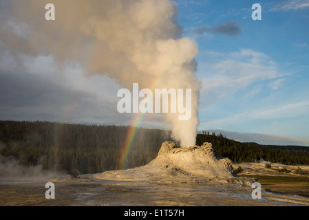 Un bellissimo arcobaleno doppio formato durante una eruzione del Castle Geyser. Parco Nazionale di Yellowstone, Wyoming negli Stati Uniti. Foto Stock