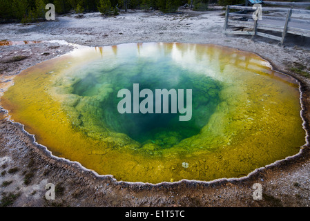 Acque colorate della gloria di mattina primavera calda. Parco Nazionale di Yellowstone, Wyoming negli Stati Uniti. Foto Stock