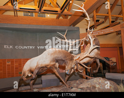 Montana, Missoula, Rocky Mountain Elk Foundation, Elk Paese centro visitatori Foto Stock