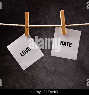 Amore o odio immagine concettuale. Scegliere tra amare e odiare, parole stampate su carta hote attaccato a stendibiancheria. Foto Stock