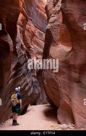 Escursionista in daino, Gulch Paria Canyon-Vermilion Cliffs Wilderness Area, Utah, Stati Uniti d'America Foto Stock