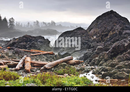 Driftwood log sulla costa del Pacifico, Wild Pacific Trail, Isola di Vancouver, British Columbia, Canada Foto Stock