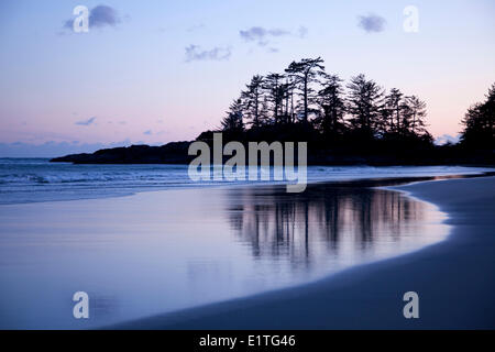 Tree riflessioni sulla Chesterman's Beach Frank's isola vicino a Tofino British Columbia Canada sull'Isola di Vancouver in Clayoquot Foto Stock