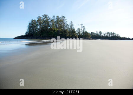 Schooner Cove vicino a Long Beach in Pacific Rim National Park vicino a Tofino British Columbia Canada sull'Isola di Vancouver in Clayoquot Foto Stock