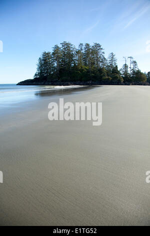 Schooner Cove vicino a Long Beach in Pacific Rim National Park vicino a Tofino British Columbia Canada sull'Isola di Vancouver in Clayoquot Foto Stock