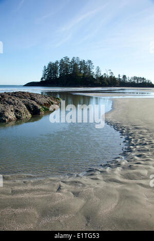 Schooner Cove vicino a Long Beach in Pacific Rim National Park vicino a Tofino British Columbia Canada sull'Isola di Vancouver in Clayoquot Foto Stock