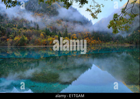 La luce del mattino riflessioni su un lago di acqua dolce di un percorso a piedi in autunno a JiuZhaiGou Parco Nazionale nella provincia di Sichuan P.R. Foto Stock