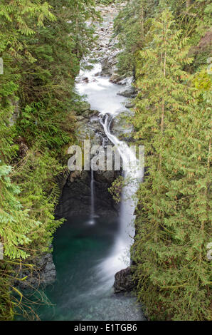 Cascate visibili dal ponte di sospensione a Lynn Canyon Park in North Vancouver, British Columbia, Canada. Foto Stock