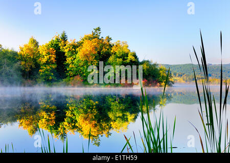 I colori dell'autunno rifletta gli alberi su Dougan vicino Lago di ciottoli Hill, BC. Foto Stock