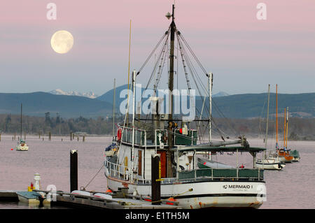 La barca da pesca, Mermaid1, sotto una luna piena mentre al posto di ormeggio in Cowichan Bay, BC. Foto Stock