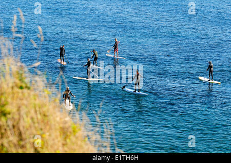 Sette ragazzi l'uso stand up paddleboards per rendere il loro modo lungo l'acqua vicino a Dallas Rd. in Victoria, BC. Foto Stock