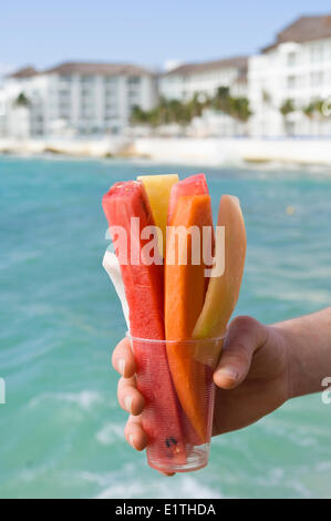 Mango, ananas, papaya e cocomero, Playa del Carmen, Quintana Roo, Messico Foto Stock