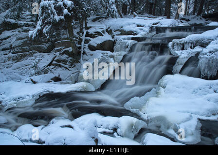 Poco alte cascate e un ponte pedonale in inverno vicino Bracebridge, Ontario Foto Stock